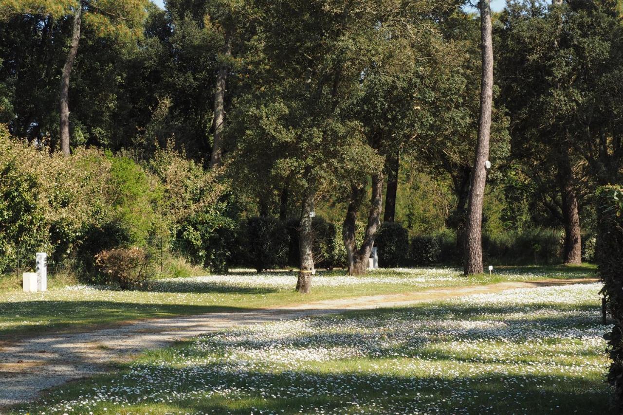 Camping Le Puits De L'Auture Hotel Saint-Palais-sur-Mer Bagian luar foto