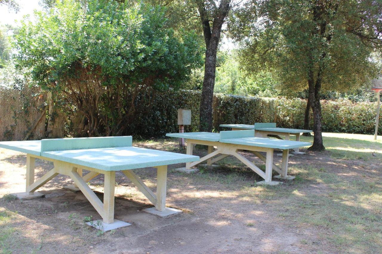 Camping Le Puits De L'Auture Hotel Saint-Palais-sur-Mer Bagian luar foto